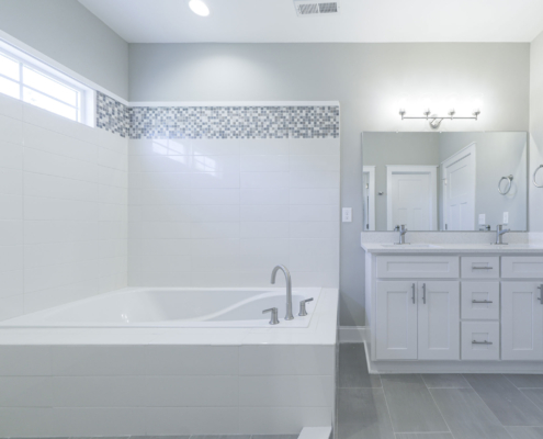 Montague Floor Plan, East Towne Village, Rock Hill, SC - Master Bath 2